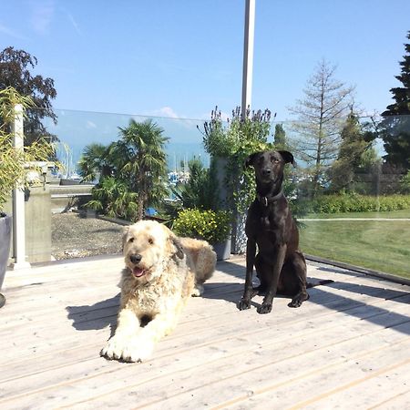 Lakelodge Romanshorn Eksteriør bilde