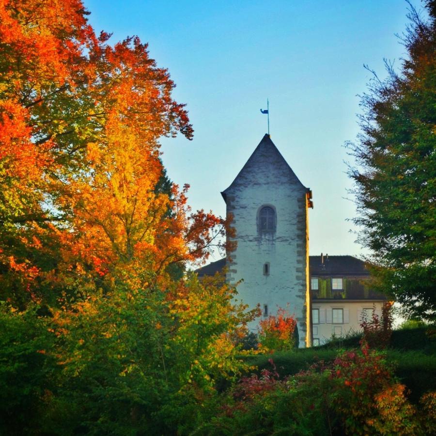 Lakelodge Romanshorn Eksteriør bilde